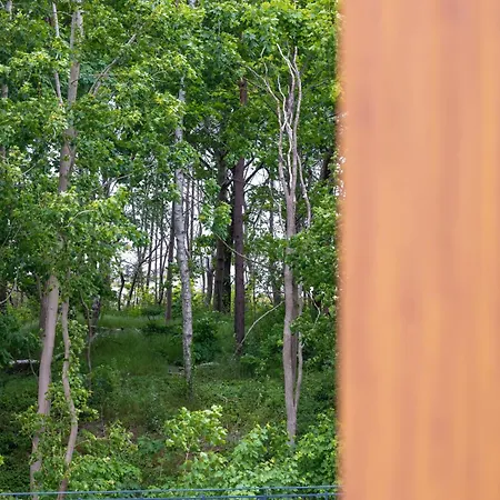 Apartment Pinea 224 - Basen, Sauna, Jacuzzi W Cenie Pobytu - Easy - Rent